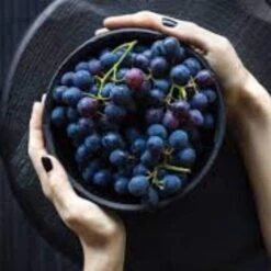 'Vanessa' Seedless Outdoor Grape Vine -Green Plant Shop FRU0063 2