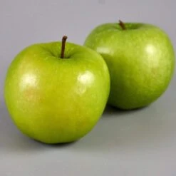 Granny Smith Apple Tree -Green Plant Shop FRU0227 3