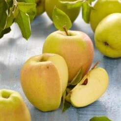 Golden Delicious Apple Tree -Green Plant Shop FRU0229 2