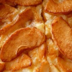 Bramley's Seedling Cordon Apple Tree -Green Plant Shop FRU0258 4 42cffabe a4d3 4601 9d07 886e881b0539