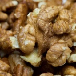 'Buccaneer' Walnut Tree 8 'Buccaneer' Walnut Tree -Green Plant Shop FRU0413 3